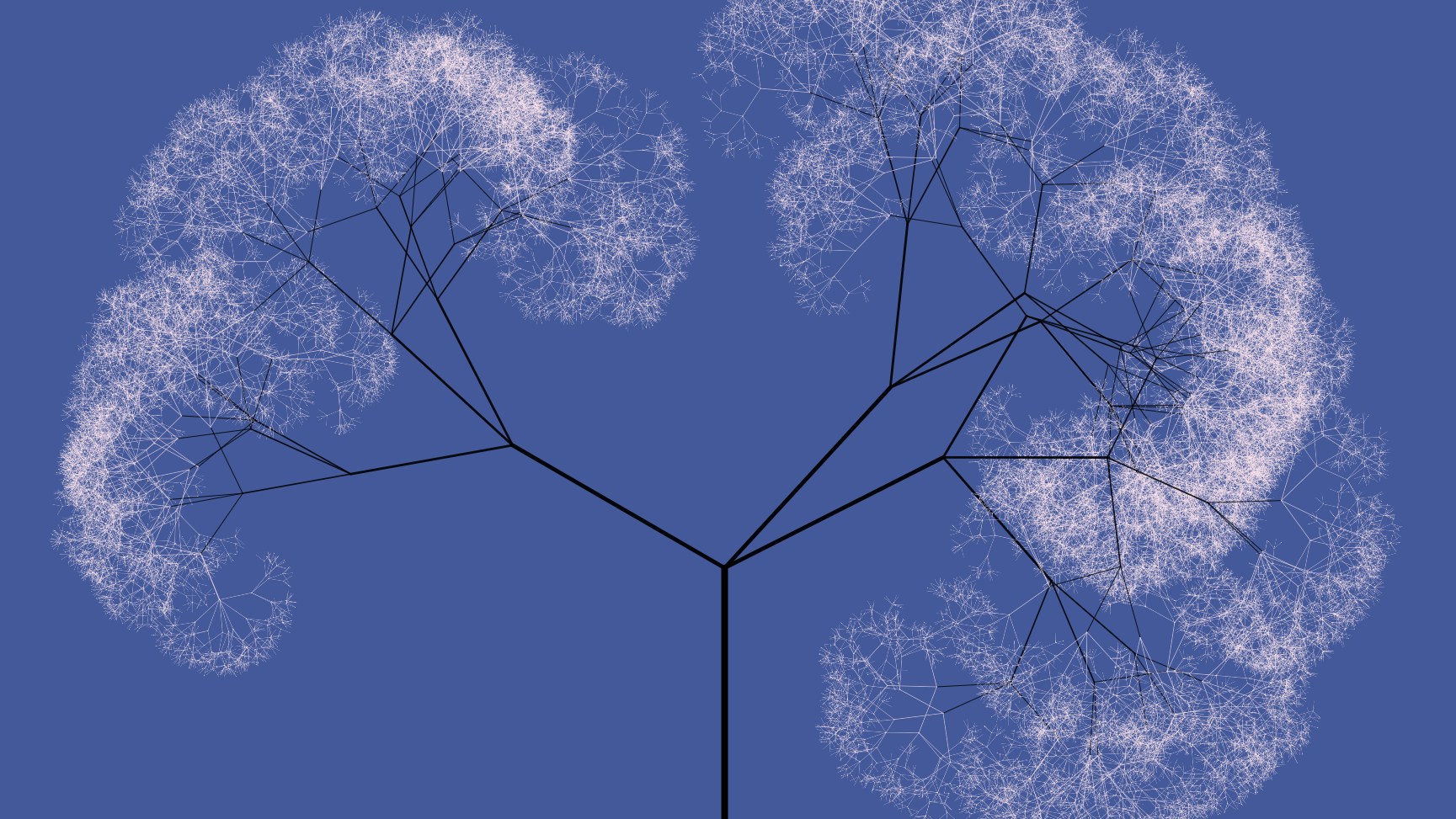 Example of a random fractal tree